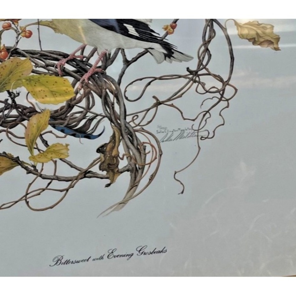 Signed Sallie Ellington MIddleton Bittersweet With Evening Grosbeak - Picture 2 of 3